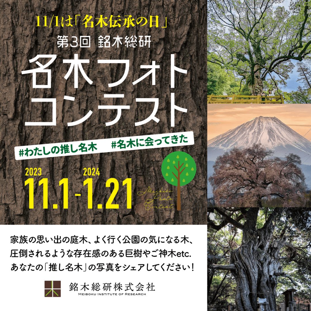 【第3回 名木フォトコンテスト】11/1は名木伝承の日 #名木に会ってきた #わたしの推し名木 開催！